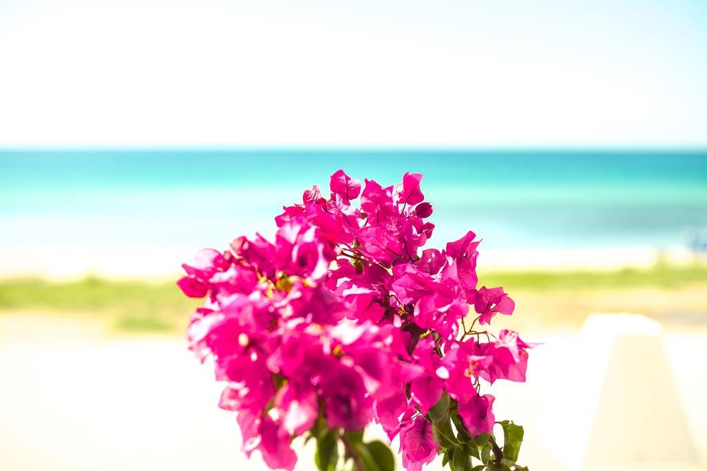 Bouganvillia Homes نيكيتي المظهر الخارجي الصورة